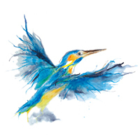 kingfisher3(sold)