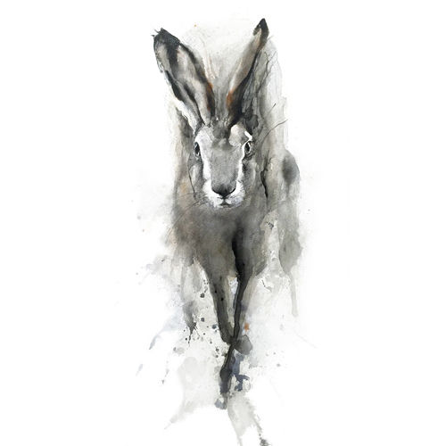 hare2016(sold)