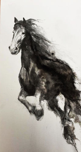 horse201606(sold201611)