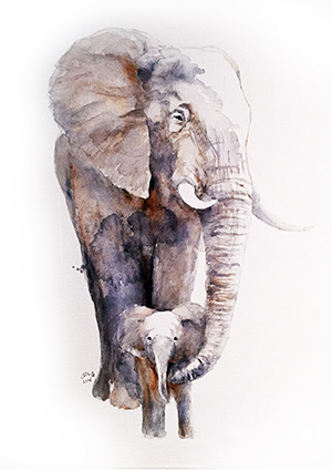 elephant2016(sold201705)