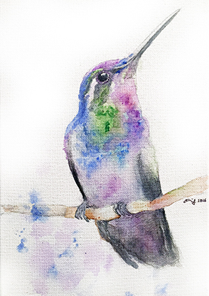 hummingbird2016