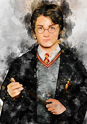 053 Harry Potter