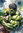 057 Hulk (Marvel)